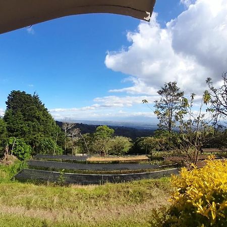 Skyline Great View Naranjo (Alajuela) Exteriér fotografie