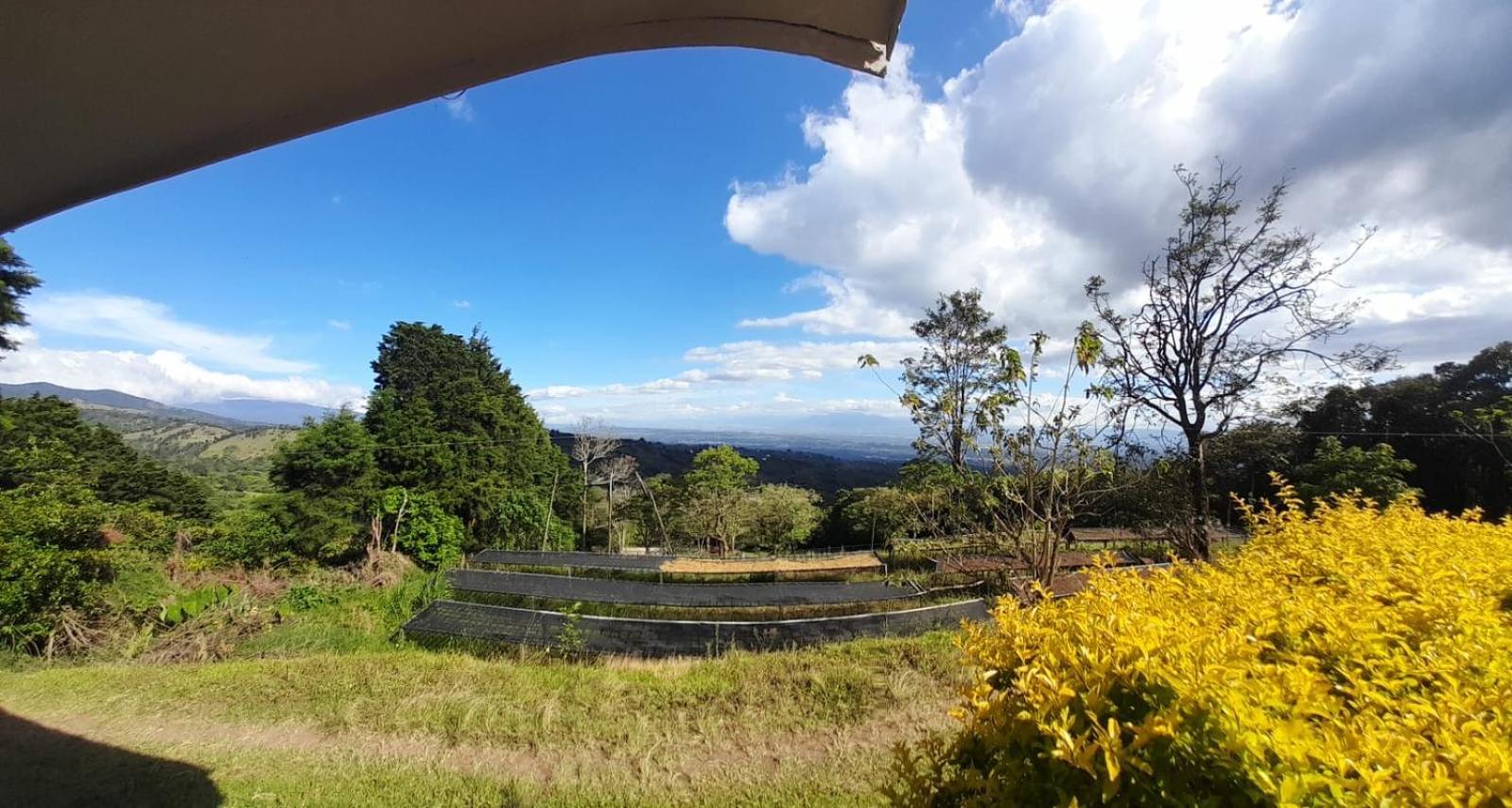 Skyline Great View Naranjo (Alajuela) Exteriér fotografie